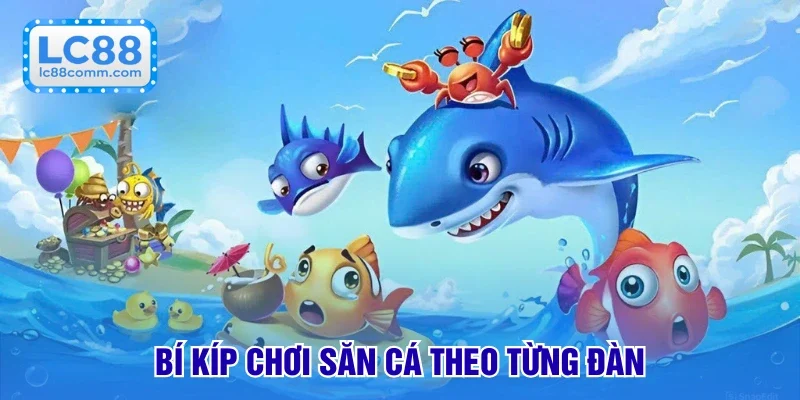 Chơi săn cá theo từng đàn
