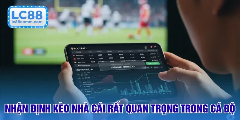 Nhận định kèo nhà cái rất quan trọng trong cá độ